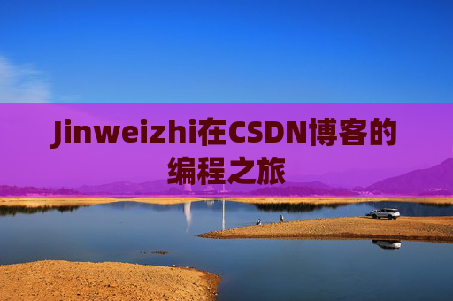 Jinweizhi在CSDN博客的编程之旅